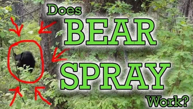Does Bear Spray Work