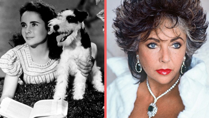 What Is The Bacon Number Of Elizabeth Taylor