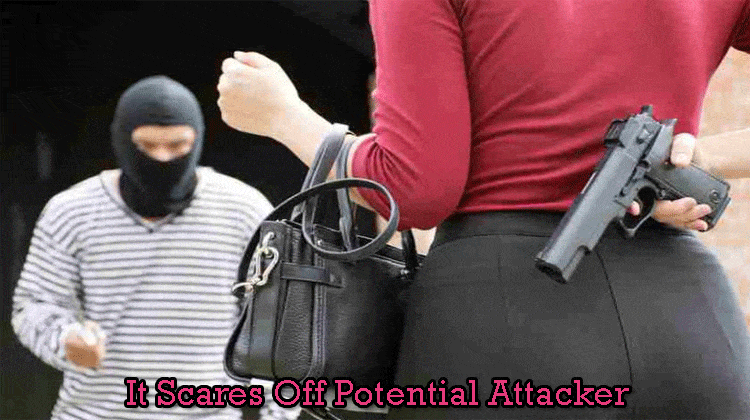 It-Scares-Off-Potential-Attacker