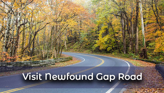 Visit Newfound Gap Road