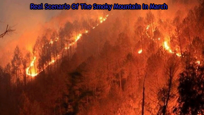 Real Scenario Of The Smoky Mountain In March