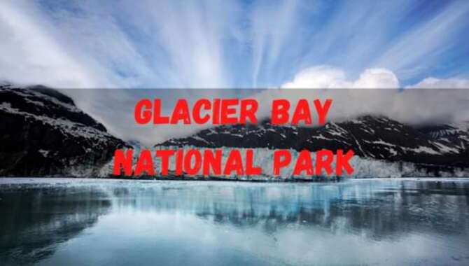 Did You Visit Glacier Bay National Park