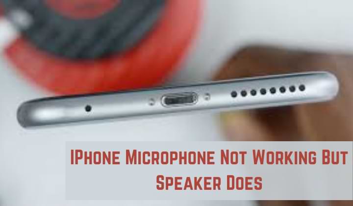 IPhone Microphone Not Working But Speaker Does