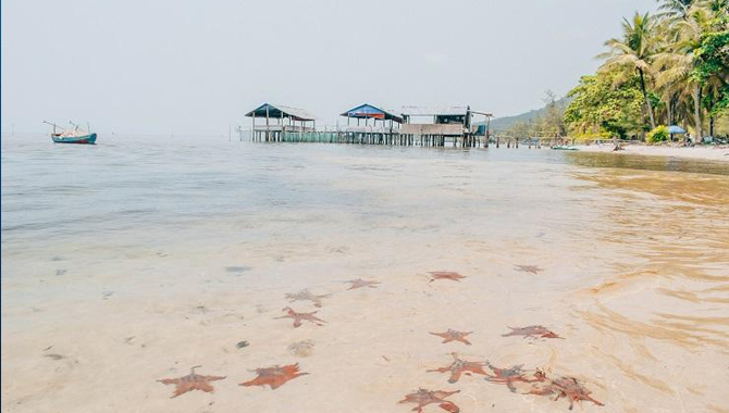 You Can Visit Starfish Beach