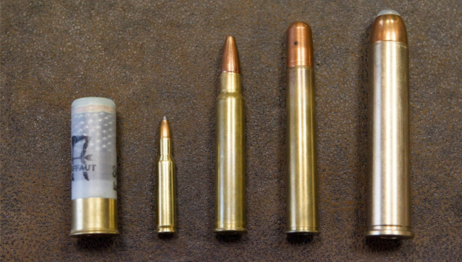 Difference Between a Regular Bullet and a Hollow Point Bullet
