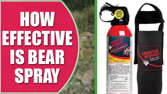 How Effective Is Bear Spray