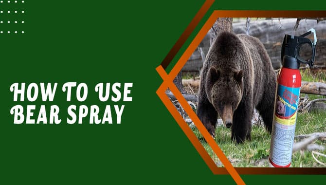 How To Use Bear Spray