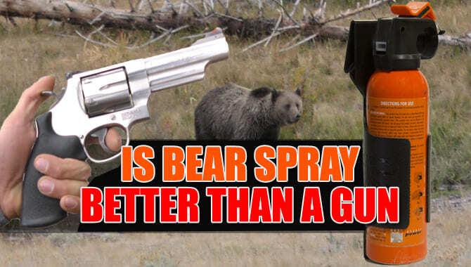 Is Bear Spray Better Than A Gun