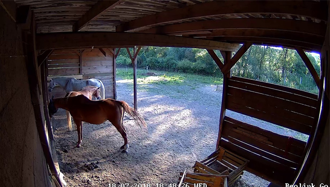 Required Qualities of the Best Barn Camera Without WiFi