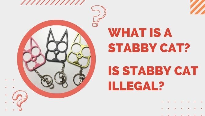 Stabby Cat Illegal