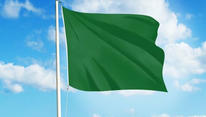 Definition Of Friendship Green Flags