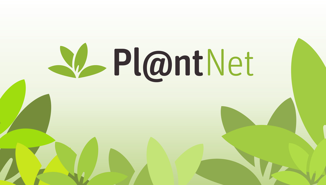 Plant Net Plant Identification