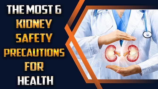 The Most 6 Kidney Safety Precautions For Health