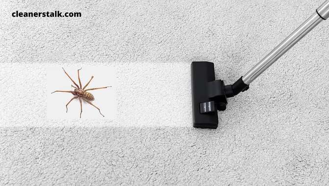 Use A Vacuum Cleaner To Remove Spiders From The Interior Of Your Home