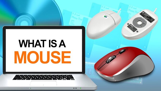 What Is A Computer Mouse