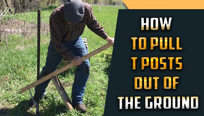 How To Pull T Posts Out Of The Ground