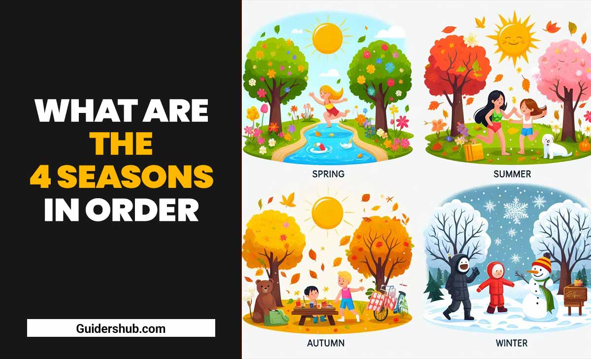 What Are The 4 Seasons In Order