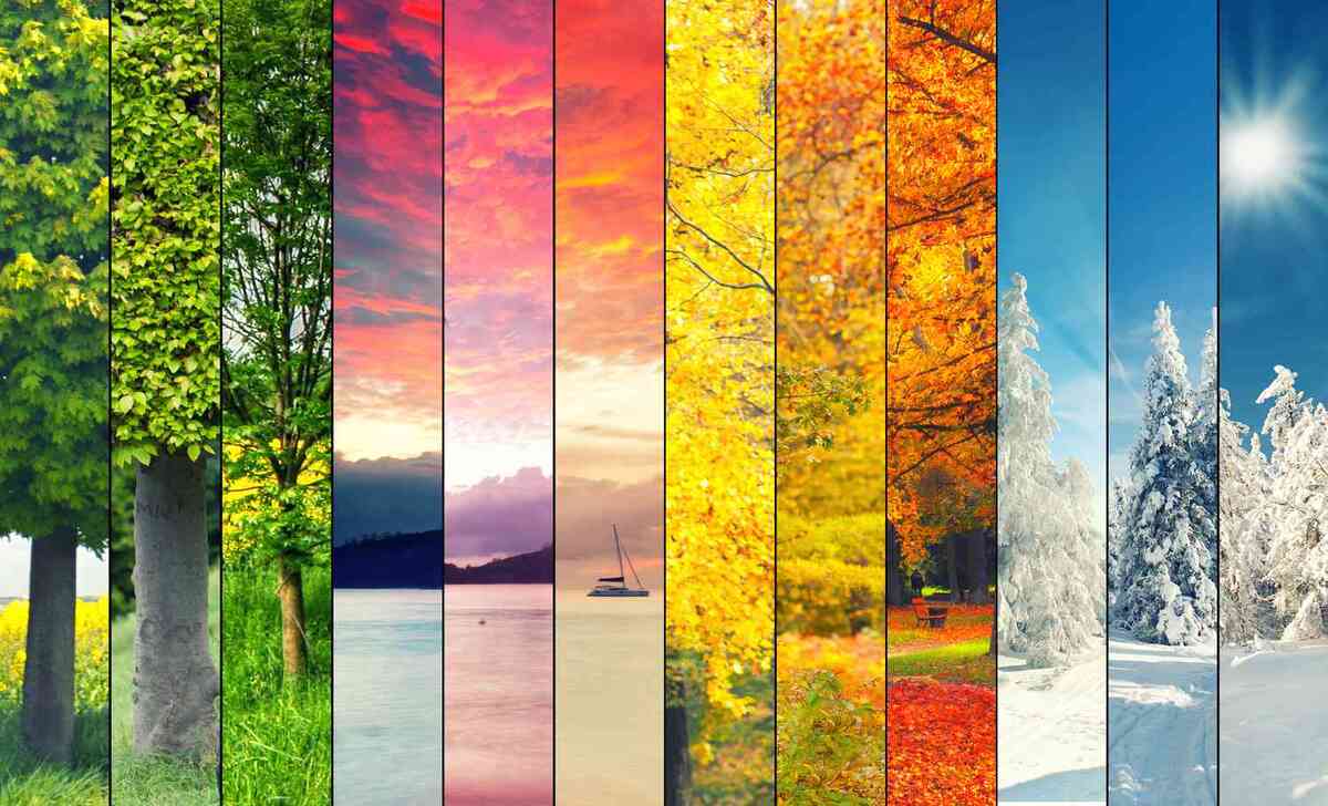 Know About What are the 7 Seasons