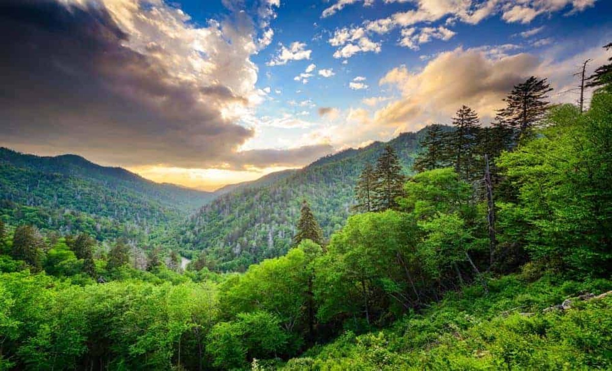 Why You Should Visit The Smoky Mountain in Summer