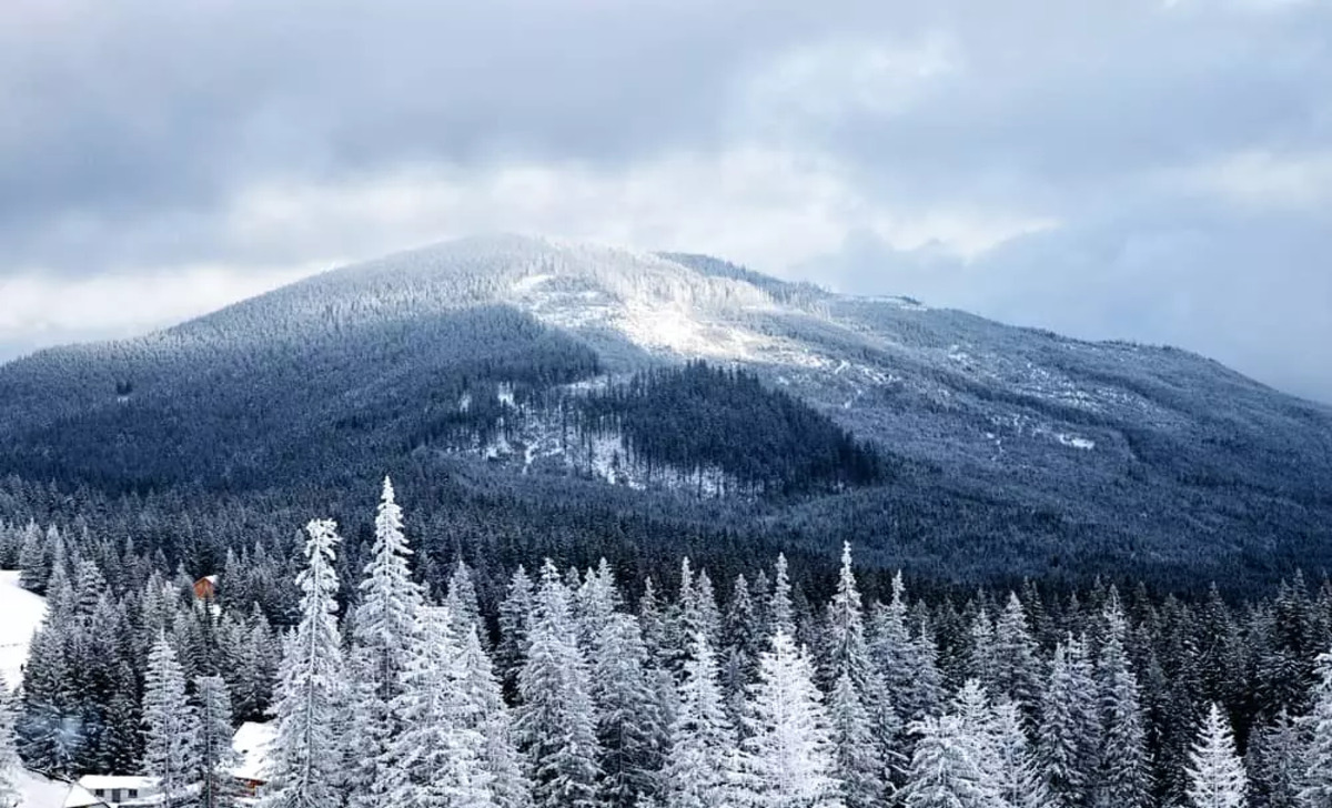 Why you Should Visit The Smoky Mountain in Winter