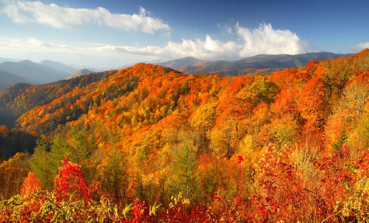 Why you should visit the Smoky Mountain in Autumn